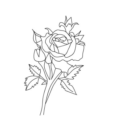 rose flower line art, vector illustration, hand-drawn pencil sketch, coloring book, and page, isolated on white background clip art.