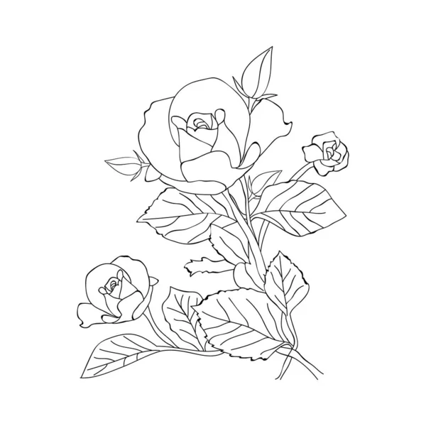 Realistic Rose Coloring Pages Adults Vector Illustrations Beautiful Flowers — Stockový vektor