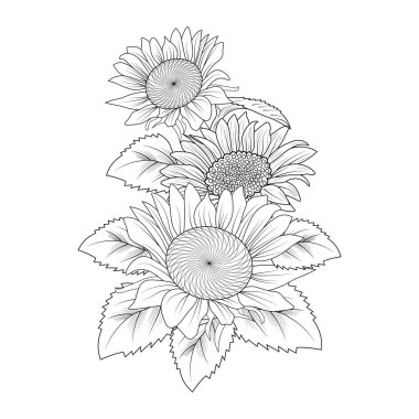 hand-drawn sunflower vector illustration, floral elements, sketch. coloring book for your design
