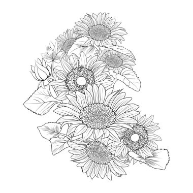 sunflower vector illustration of beautiful flowers and floral patterns. good for posters, and greeting cards, coloring pages.