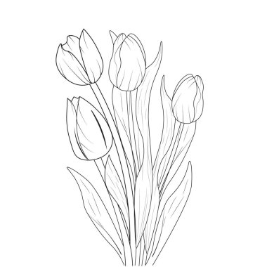 vector hand-drawn sketch illustration with a tulip