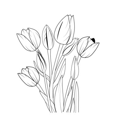 Tulip flower line art coloring page vector sketch artistic,  hand-drawn sketch illustration of flowers. black ink drawing
