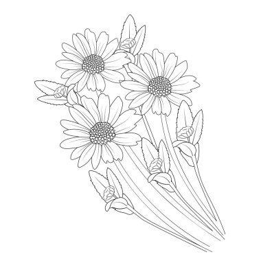 chamomile and daisy flowers line art, vector sketches, and coloring pages for children and adults.