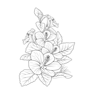 hibiscus flower coloring book hand drawn botanical spring elements bouquet of Sharon flower line art coloring page vector sketch artistic, simplicity doodle art vector illustration of a beautiful botanical garden flowers