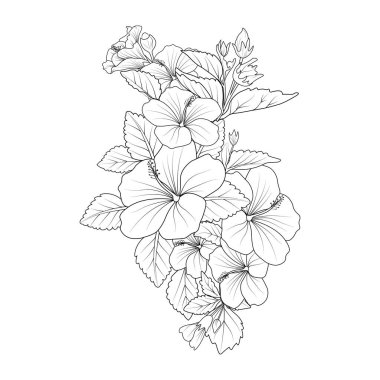 Illustration of a hibiscus flower, vector sketch pencil art, bouquet floral coloring page, and book isolated on white background clipart.vector illustration, hand-drawn flowers for your design