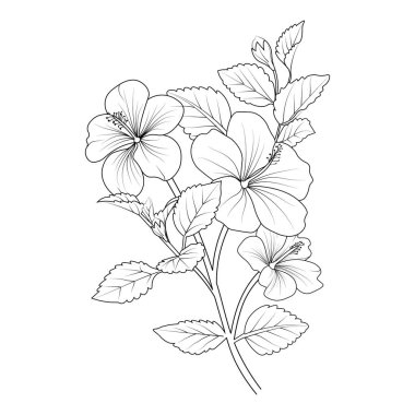  Hibiscus flower drawing hand draw flower vase illustration,vector sketch, decorative pencil art, a bouquet of floral coloring page, and book isolated on white background clipart.vector illustration, botanical element for poster