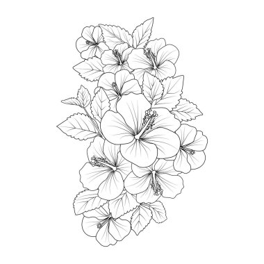 Bouquet of hibiscus flower hand drawn pencil sketch coloring page and book for adults isolated on white background floral element tattooing, illustration ink art of Sharon flower.