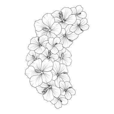 Lotus flower drawing, vector sketch hand drew illustration artistic, simplicity, coloring page isolated on white background. vector illustration of a beautiful botanical background