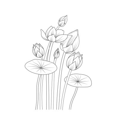 Isolated Egyptian lotus hand-drawn vector sketch illustration, botanic collection branch of leaf buds natural collection coloring page floral bouquets engraved ink art. hand-drawn doodle floral pattern with lotus seeds.