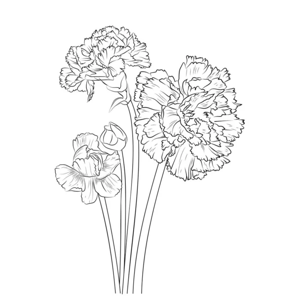 Karanfil çiçeği ana hatları, boyama sayfası veya kitap için güzel botanik desenli illüstrasyon, dianthus-caryophyllus, çiçek çizimi, tek renkli resim çizimi, vektör sanatı, illüstrasyon, 