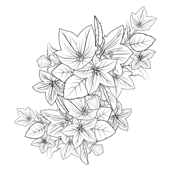 Розмальовка Квіткових Квітів Креслення Чорнильного Дзвіночка Sketch Virginia Креслення Лінії — стоковий вектор
