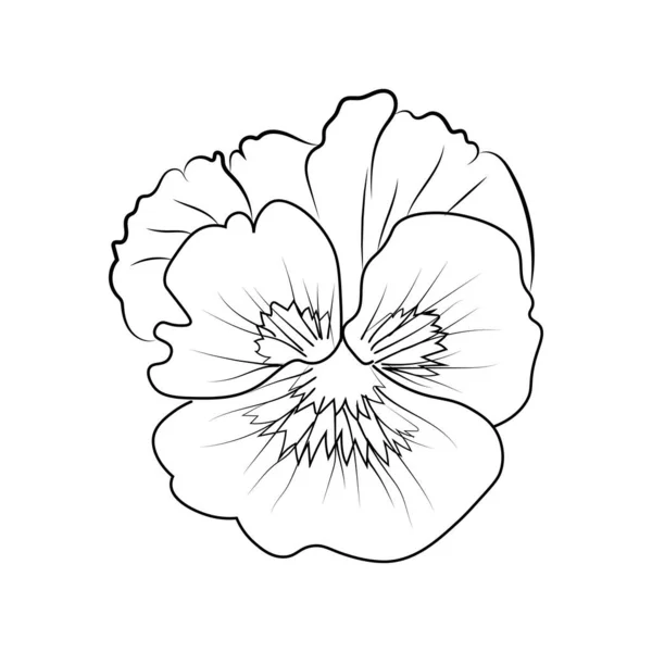 판스니 꽃그리기 담청색 꽃들의 꽃다발 아름다운 꽃들의 디자인을 카드나 인쇄를 — 스톡 벡터