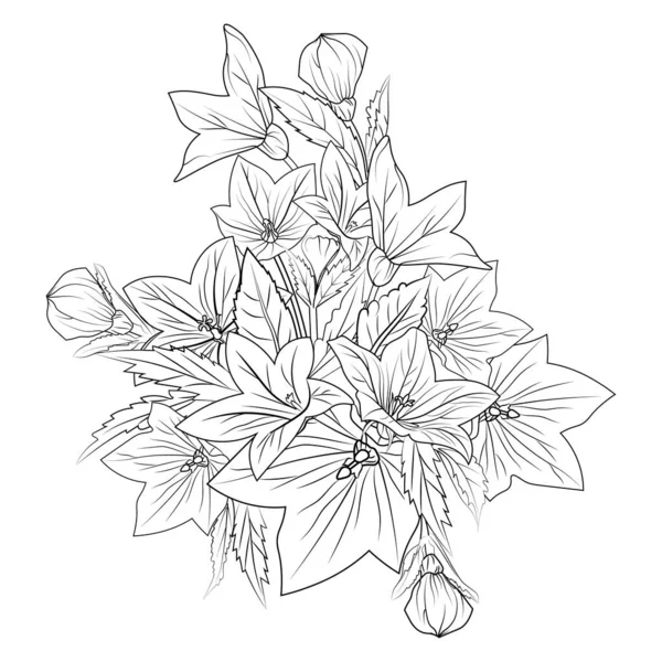 반짝이는 꽃무늬 스케치 버지니아 선그리기 흑백의 페이지 귀여운 페이지 어른을 — 스톡 벡터