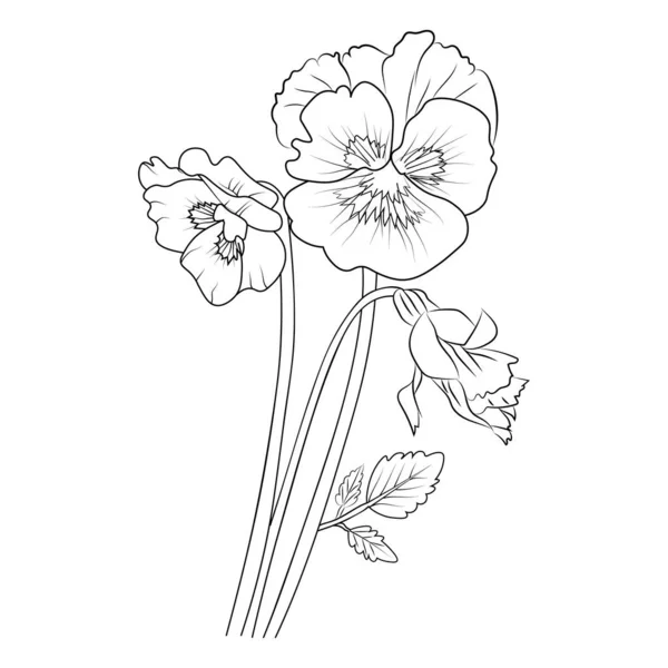 Stiefmütterchen Blumenzeichnung Stiefmütterchen Blumenvektorkunst Hellblaues Stiefmütterchen Ein Strauß Stiefmütterchen Blumen — Stockvektor