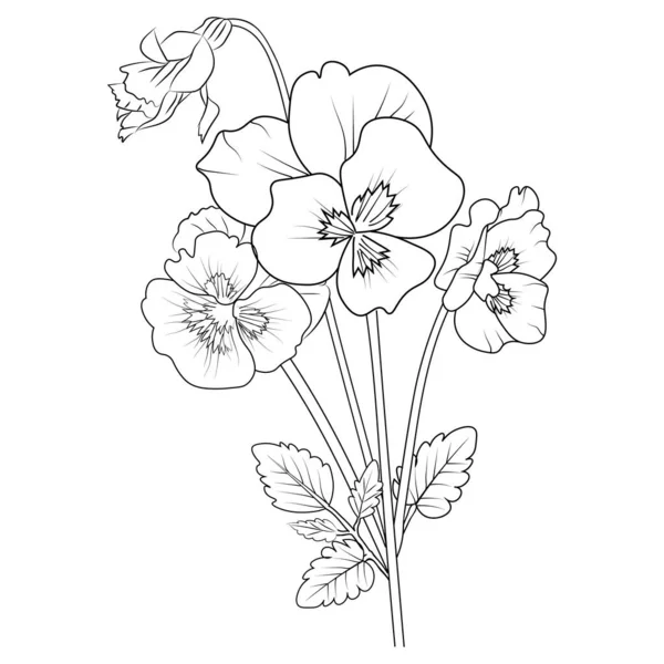 Stiefmütterchen Blumenzeichnung Stiefmütterchen Blumenvektorkunst Hellblaues Stiefmütterchen Ein Strauß Stiefmütterchen Blumen — Stockvektor