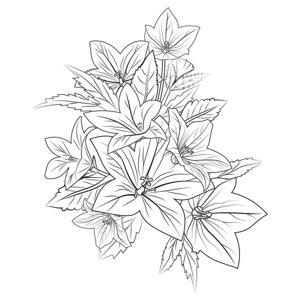 Illustration Vectorielle Beau Fond Floral Page Colorier Fleurs Pour Adultes — Image vectorielle
