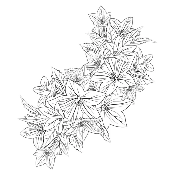 Glockenblumen Zeichnung Glockenblumen Zeichnung Ist Ein Einfaches Schwarz Weiß Muster — Stockvektor