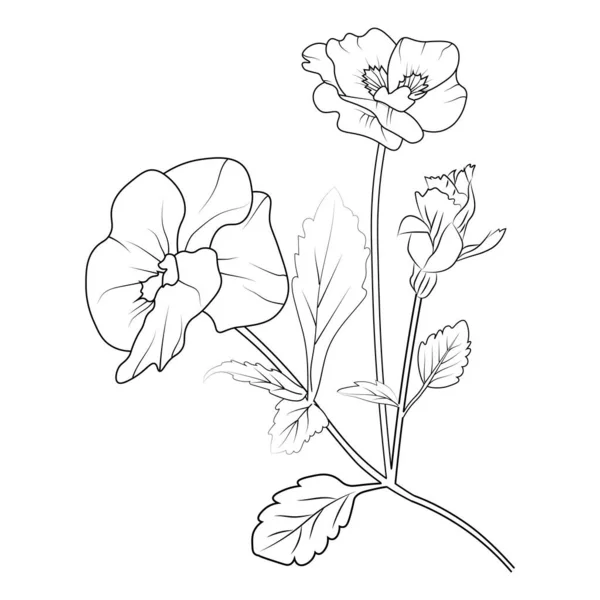 パンジーフラワーアート フォントビューのベクトルイラストパンジーフラワー 手描きの植物春の要素で着色ページのための自然コレクションラインアート 現実的な花の着色ページ パンジーの花のアウトライン 美しい花のベクトル図 — ストックベクタ