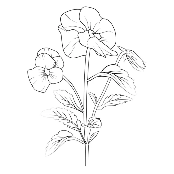 パンジーフラワースケッチアート 可愛い花の着色ページのために印刷されたヴィンテージスタイル 美しいパンジーの花と葉 白い背景に隔離された現実的なネオンバイオレットの図面のベクトル図 一連の花のベクトル図です — ストックベクタ