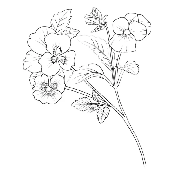 Bne Çiçek Kalem Sanatı Siyah Beyaz Taslak Vektör Boyama Sayfası — Stok Vektör
