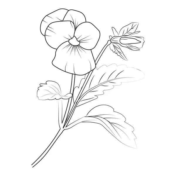 可愛い花の着色ページ パンジー図面 ネオンバイオレット 花の図面 手描き植物春の要素パンジーフラワーラインアートの着色ページの花束 簡単な花の図面 ケシの花のベクトル図 — ストックベクタ