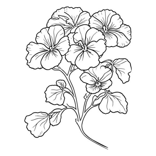 Facile Dessin Jaune Pansy Dessiné Main Beau Dessin Fleurs Violettes — Image vectorielle
