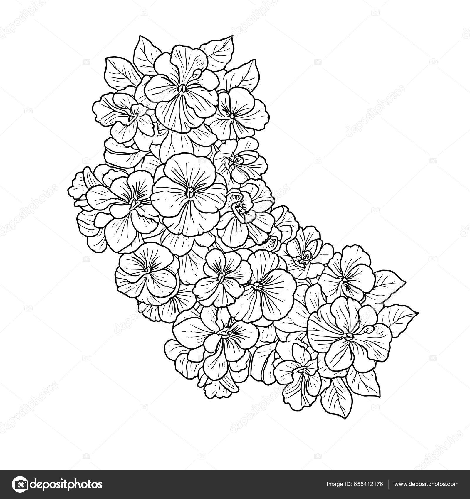 Negru Alb Floral Desenat Manual Linie Desen Buchet Flori Pansy Vector de  stoc de ©saminaakter 655412176