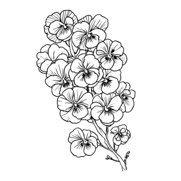 花の植物要素のベクトル図です 黒と白の花 彫刻されたインクアート スケッチ パンジーの花の図面 イラスト パンジーの花の図面 簡単な黄色のパンジーの花の図面 腕を持つネオンバイオレットの入れ墨の図面 — ストックベクタ