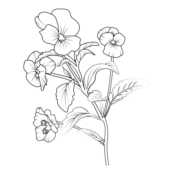 ベクトル図花のセット ペイライン図 ペインの花の図面の着色ページ ペインの花のベクトル図 ヴィンテージ植物のパンジーの花のイラスト ネオンの紫色の花のライン図 ベクトル図の淡い青のパンジーのスケッチ — ストックベクタ