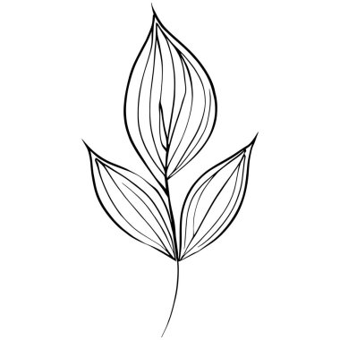 Botanik öğe, botanik çizgi çizimi, klasik botanik boyama sayfaları, botanik elementler, botanik çiçek çizimi, botanik çizimi siyah-beyaz, botanik çizgi yaprakları, botanik çizim sanatı. Vahşi çiçek botanik çizgisi sanatı.