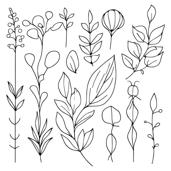 植物要素 植物線画 ヴィンテージ植物着色ページ 植物要素 植物の花のイラスト 植物イラスト黒と白 植物線画の葉 植物線画 ワイルドフラワー植物ラインアート — ストックベクタ