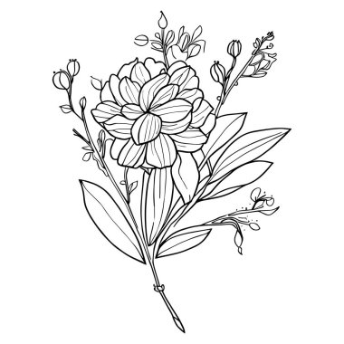 Güzel çiçekler ve yapraklar dekoratif botanik çizimler basit botanik çizimleri basit botanik çiçek çizimleri, basit botanik karalamalar. Estetik çiçek karalamaları, kır çiçeği çizimleri..