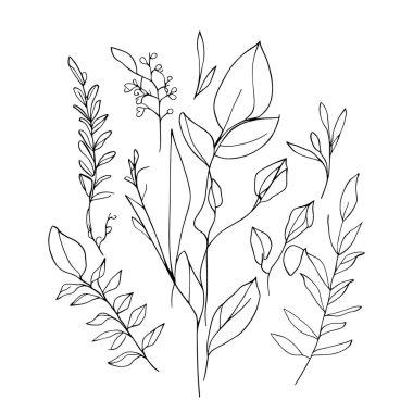 Çiçekli güzel ve doğal çiçek dalları, tek renkli vektör çizimi, botanik yaprak çizimi, botanik vektörü, doğal yaprak koleksiyonu olan botanik arka plan, çizim kalemi, botanik yaprak çizimi.