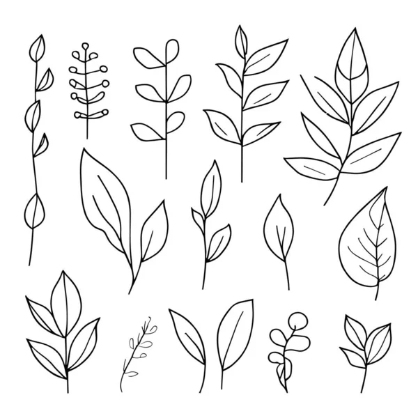 Conjunto Hojas Ramas Dibujadas Mano Arte Línea Hoja Botánica Simple — Vector de stock