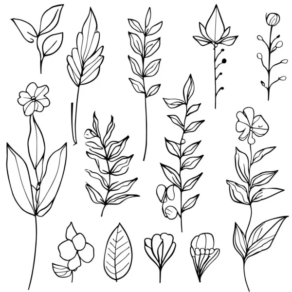 Vector Art Χειροποίητα Λουλούδια Και Φύλλα Σχέδιο Φύλλων Σχέδιο Φύλλων — Διανυσματικό Αρχείο