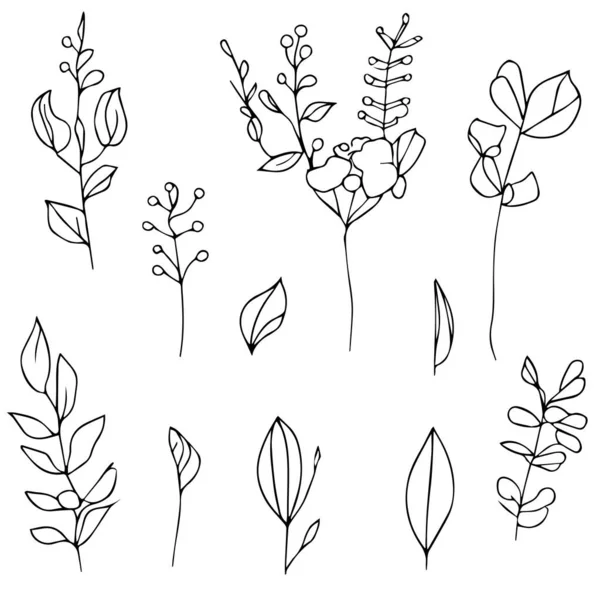 植物和植物符号的矢量图解 植物和花园向量图标集 用于储存 野花植物图画 野花美学图画 植物叶脉 植物图解 老式植物图解 — 图库矢量图片