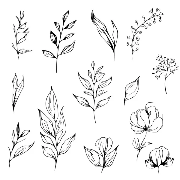 Schwarze Silhouetten Von Gras Blumen Und Kräutern Nette Blumenvektorillustration Handgezeichnetem — Stockvektor