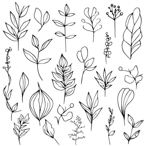 Мальовані Вручну Квіткові Елементи Набір Векторних Елементів Векторна Ілюстрація Ручні — стоковий вектор