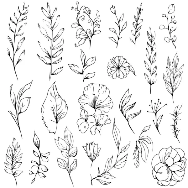 花のベクトル要素の集合です 手描きの花 ベクトル草や花やハーブの黒いシルエット 手描きで可愛い花ベクトルイラスト 白い背景のシルエット 花の惑星の図面 美的花の着色ページ — ストックベクタ