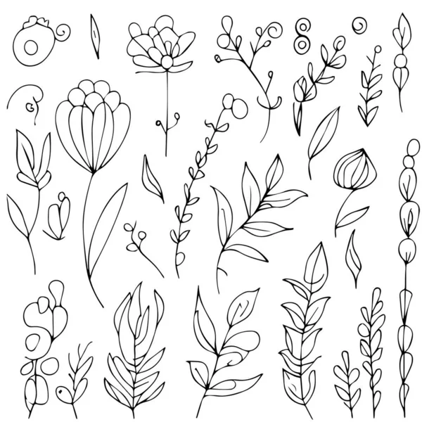 一連の手描きの花や植物 ベクトル植物の葉のセット 植物の線画 野花の植物の線画 葉のベクトルアート 鉛筆現実的な野花の絵 白地に孤立したインクのスケッチ 花のクラスタ図面 — ストックベクタ