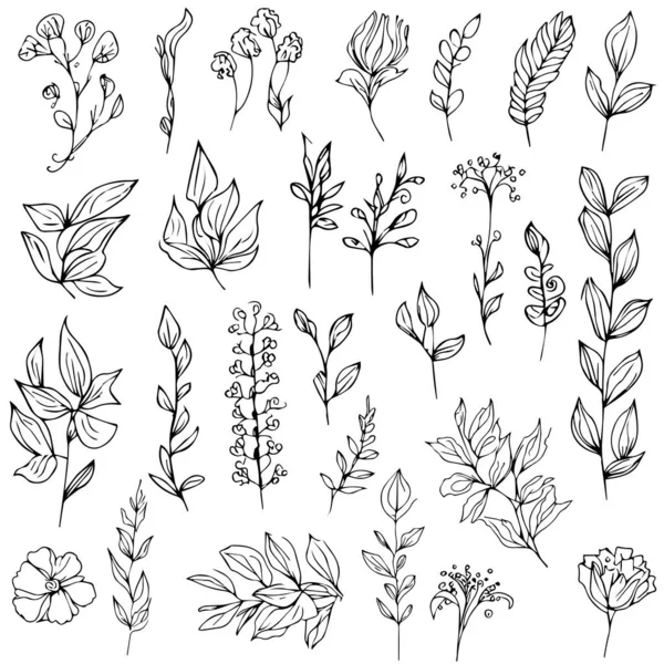 手描きの花のセット 植物ベクトルイラストの着色ページ シンプルさ モノクロ ベクトルアート 枝の植物の葉 植物の葉 芽で輪郭のプリント ミニマルな植物の入れ墨の描画 — ストックベクタ