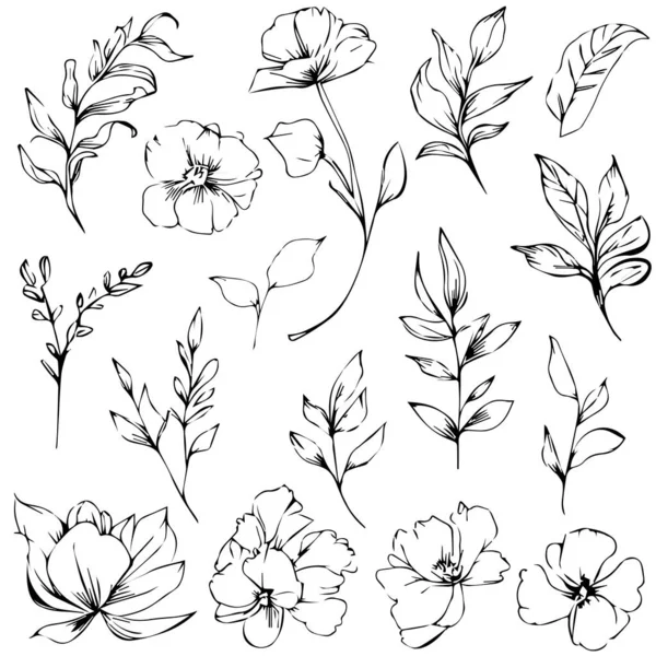Elementos Resorte Botánicos Dibujados Mano Arte Línea Ilustración Botánica Dibujo — Vector de stock