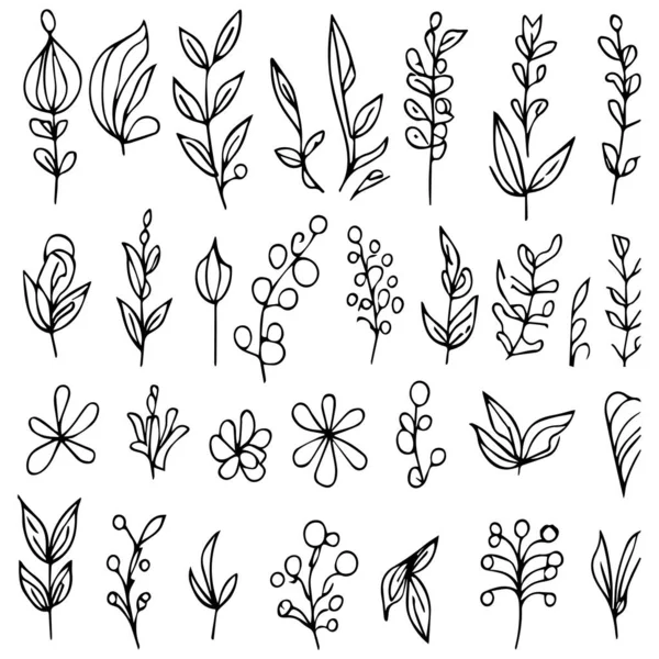 Σετ Από Floral Στοιχεία Αισθητικά Doodles Λουλουδιών Βοτανικά Σχέδια Βοτανικά — Διανυσματικό Αρχείο