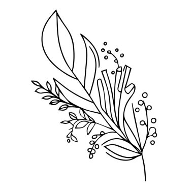 Yaprak boyama sayfası ve kitaplar, tek renkli vektör çizimi, botanik yaprak çizimi, botanik vektörü, doğal yaprak koleksiyonu olan botanik arka plan, çizim kalemi botanik, botanik yaprak çizimi, botanik kalem koleksiyonu