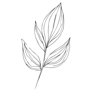 Beyaz arkaplan yaprak boyama sayfası ve kitaplar, tek renkli vektör çizimi, botanik yaprak çizimi, botanik vektörü, doğal yaprak koleksiyonu ile botanik arka plan, çizim kalemi çizimi, botanik yaprak çizimi,