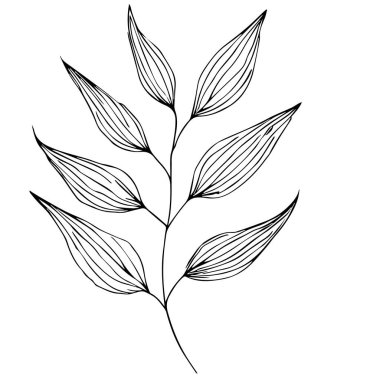 Siyah arkaplanı olan bir yaprak. vektör illüstrasyonu, botanik sanat dekoru, vektörel yaprak seti basit taslak çizim çizim el çizimi çizimi, çiçeklerin botanik çizimleri, kır çiçeklerinin botanik çizimleri, botanik çizimler.