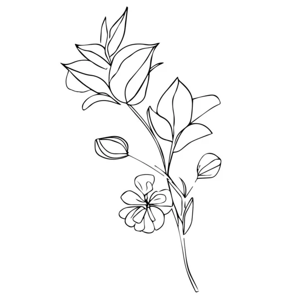花の手描き ベクトルイラスト 野花絵 野花ドアアートにセット 着色ページベクトルスケッチ手描きイラスト 美しい植物要素 繊細な花プリント 芸術的な花々が — ストックベクタ