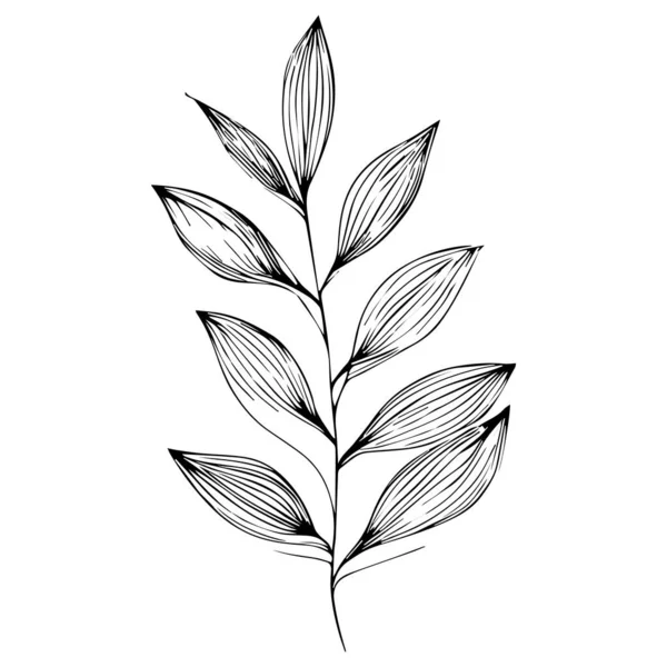 Hojas Blanco Negro Hermoso Patrón Floral Botánico Ilustración Para Colorear — Archivo Imágenes Vectoriales