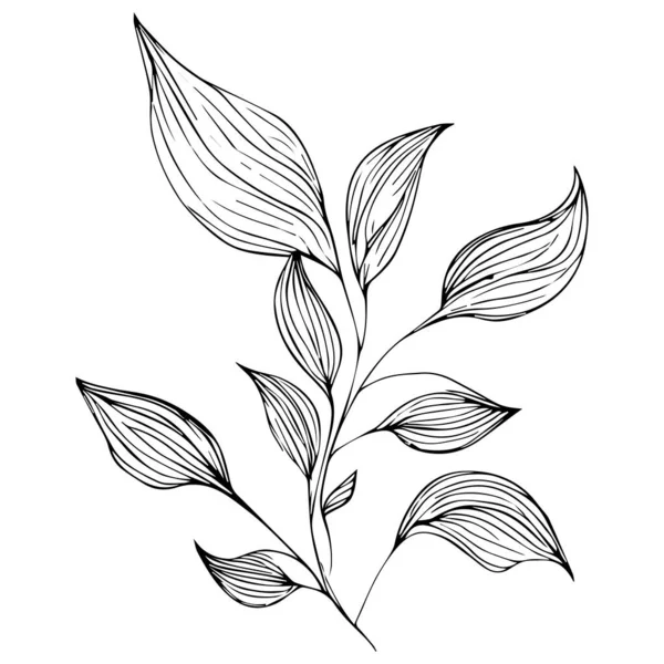 Folhas Pretas Brancas Belo Padrão Floral Botânico Ilustração Para Colorir — Vetor de Stock