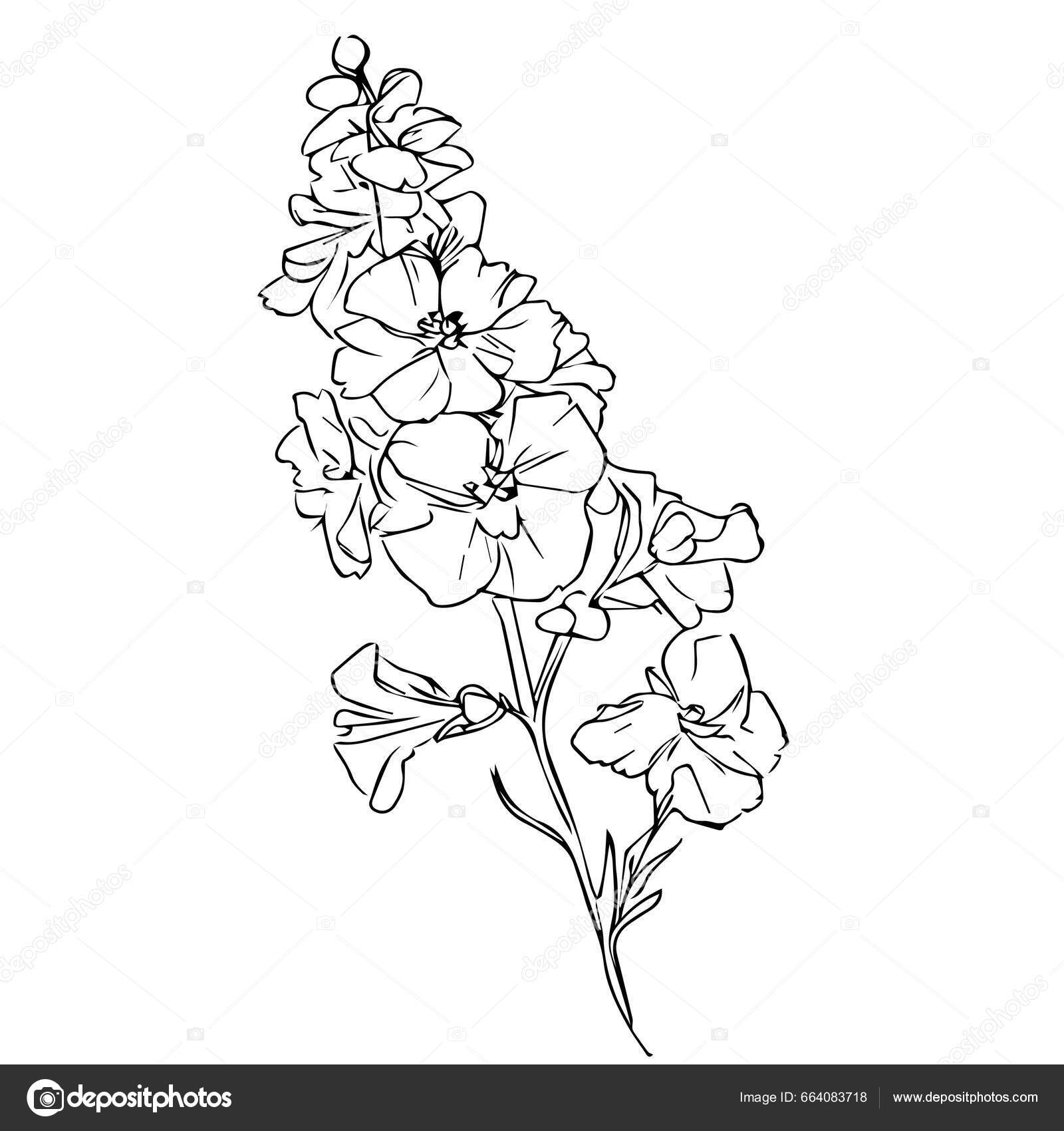 Larkspur Flower Tattoo in Black and White